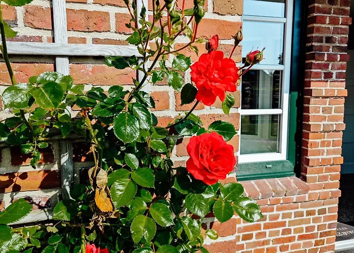 *groot* Lütt&groot Appartement *